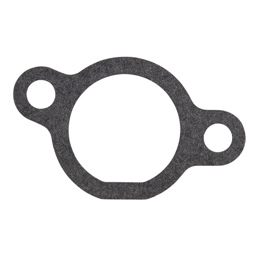 Gasket, Carbie To Engine Block Suits Ssv450f1