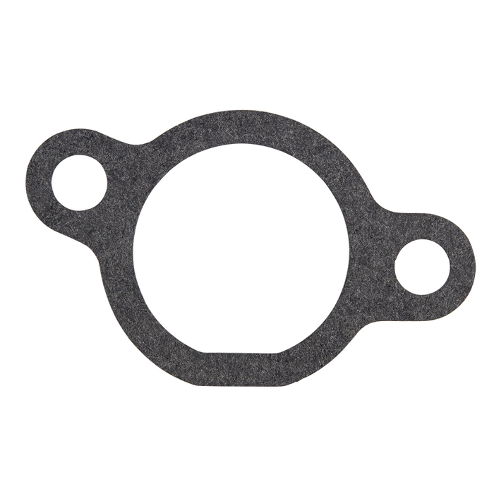 Gasket, Carbie To Engine Block Suits Ssv450f1