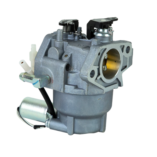 Carburetor Suits Xp550e / Eng8549