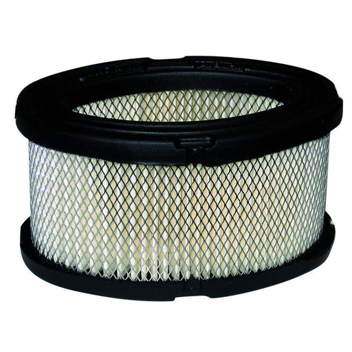 Tecumseh Air Filter Oval 7 8 & 10hp