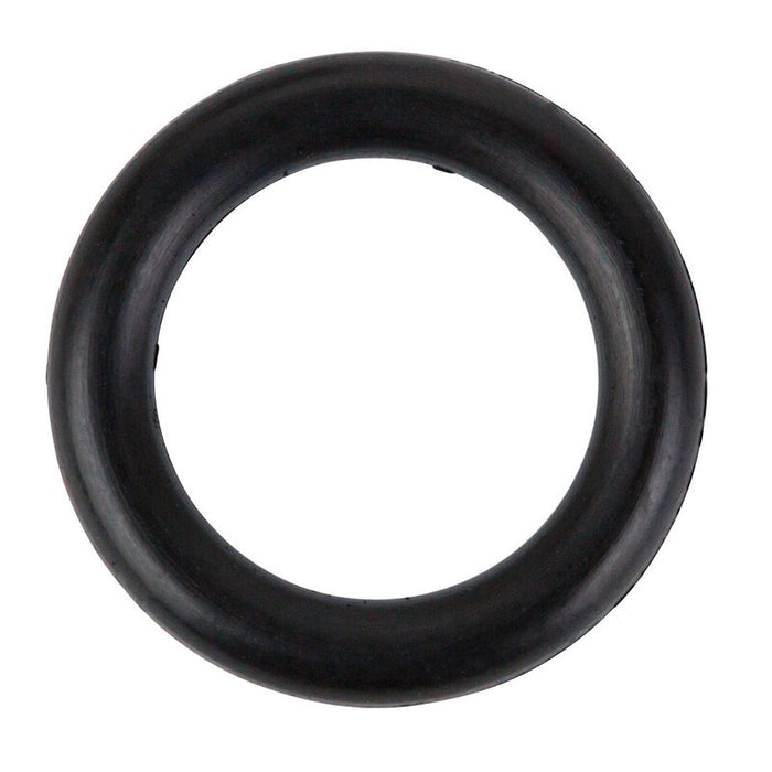 O'ring 1a P10a