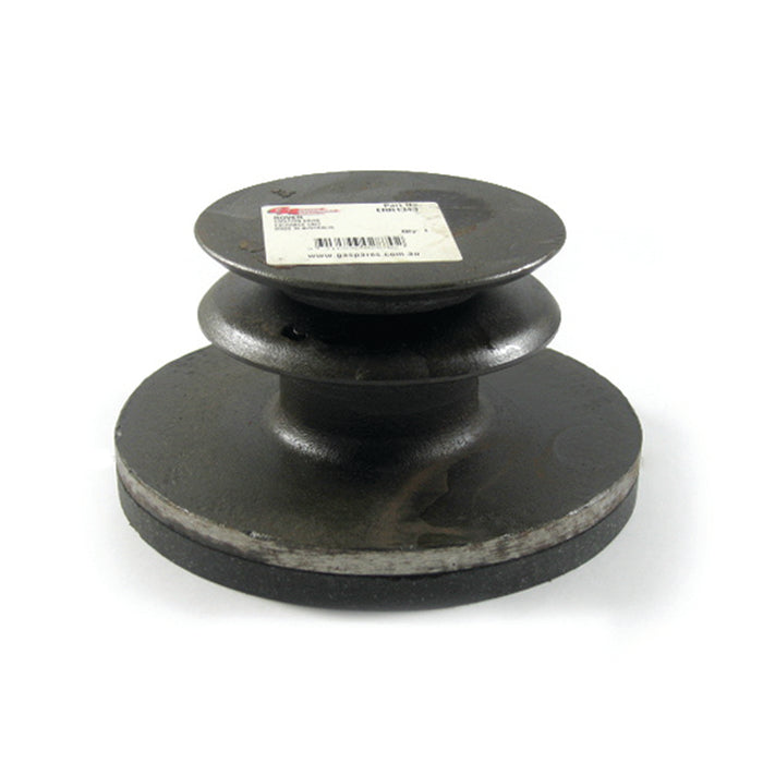ERR1343