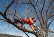 Husqvarna Climbing Harness